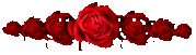 roses25